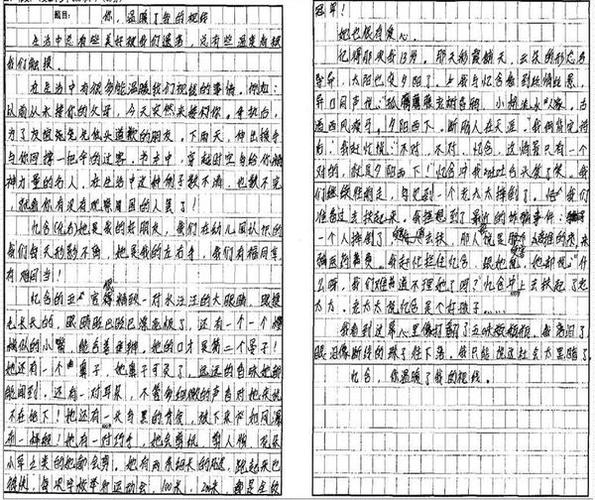 小红本人工智能语言(小红本人工智能语言训练系统怎么恢复成普通电脑)-第1张图片-华田资讯 小红本人工智能语言(小红本人工智能语言训练系统怎么恢复成普通电脑)-第1张图片-华田资讯
