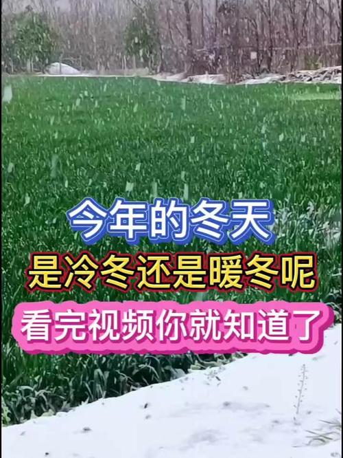 石家庄最新新闻(石家庄最新新闻事件黑社会)-第1张图片-华田资讯 石家庄最新新闻(石家庄最新新闻事件黑社会)-第1张图片-华田资讯