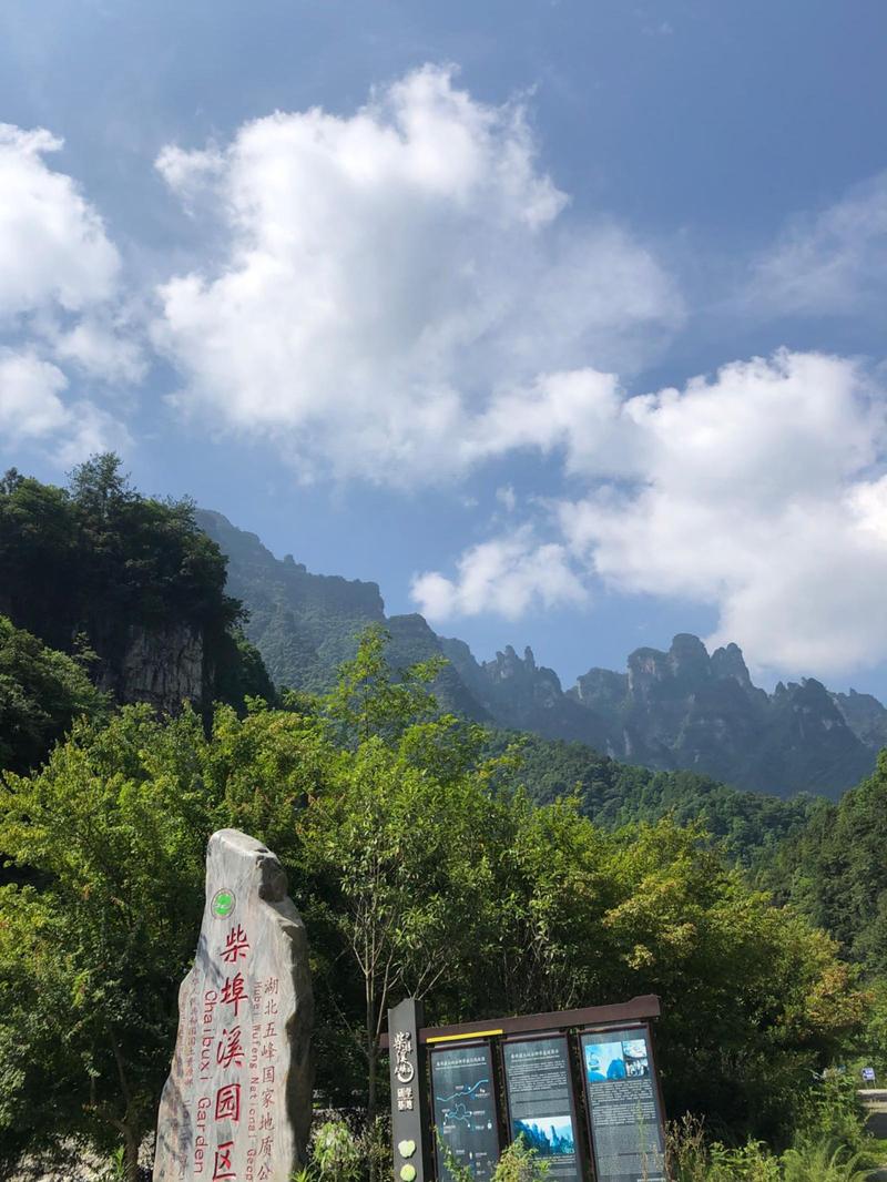 宜昌新闻今日头条,宜昌新闻今日头条热线-第5张图片-华田资讯 宜昌新闻今日头条,宜昌新闻今日头条热线-第5张图片-华田资讯