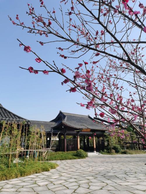东莞大岭山新闻 - 大岭山新闻网-第7张图片-华田资讯 东莞大岭山新闻 - 大岭山新闻网-第7张图片-华田资讯