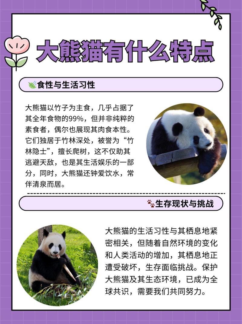 保护动物的新闻,保护动物的新闻素材-第3张图片-华田资讯 保护动物的新闻,保护动物的新闻素材-第3张图片-华田资讯