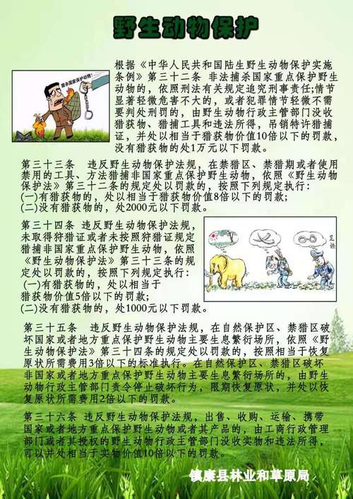 保护动物的新闻,保护动物的新闻素材-第4张图片-华田资讯 保护动物的新闻,保护动物的新闻素材-第4张图片-华田资讯