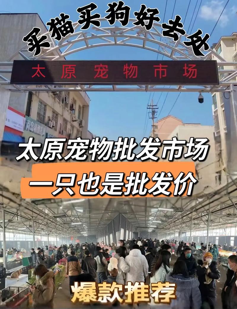 太原人工智能大会地址(百度太原人工智能数据基地)-第5张图片-华田资讯 太原人工智能大会地址(百度太原人工智能数据基地)-第5张图片-华田资讯
