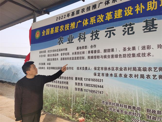 徐水新闻最新消息,徐水重大新闻-第5张图片-华田资讯 徐水新闻最新消息,徐水重大新闻-第5张图片-华田资讯