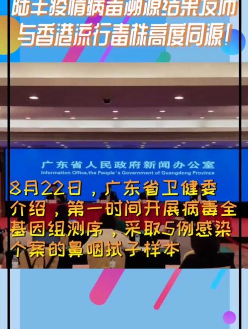 陆丰新闻最新消息 - 陆丰最近新闻视频-第6张图片-华田资讯 陆丰新闻最新消息 - 陆丰最近新闻视频-第6张图片-华田资讯
